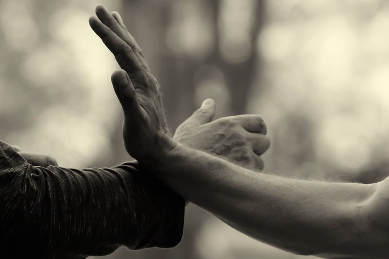 Tai Chi Forms