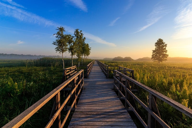 Nature walk by the pier
