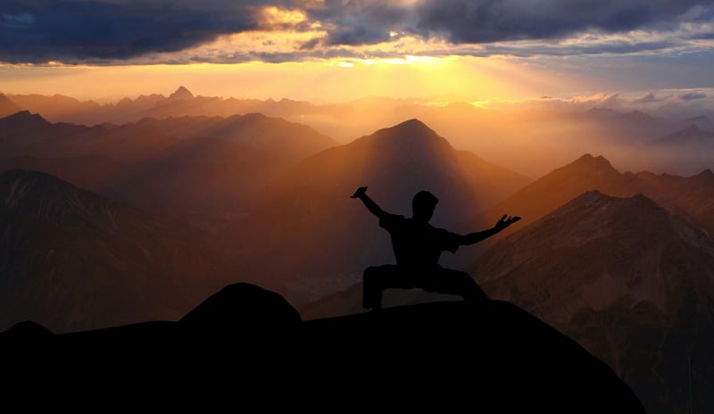 Tai Chi Martial Arts